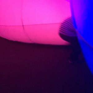 Meet your Posher, Dana